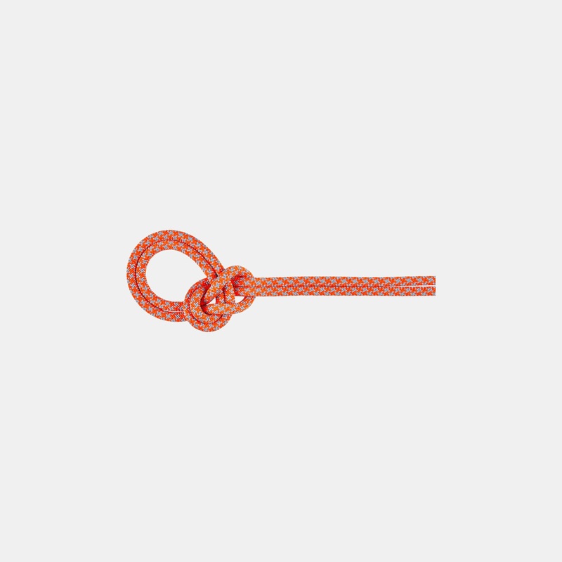 8.7 Crag Sender Dry Rope