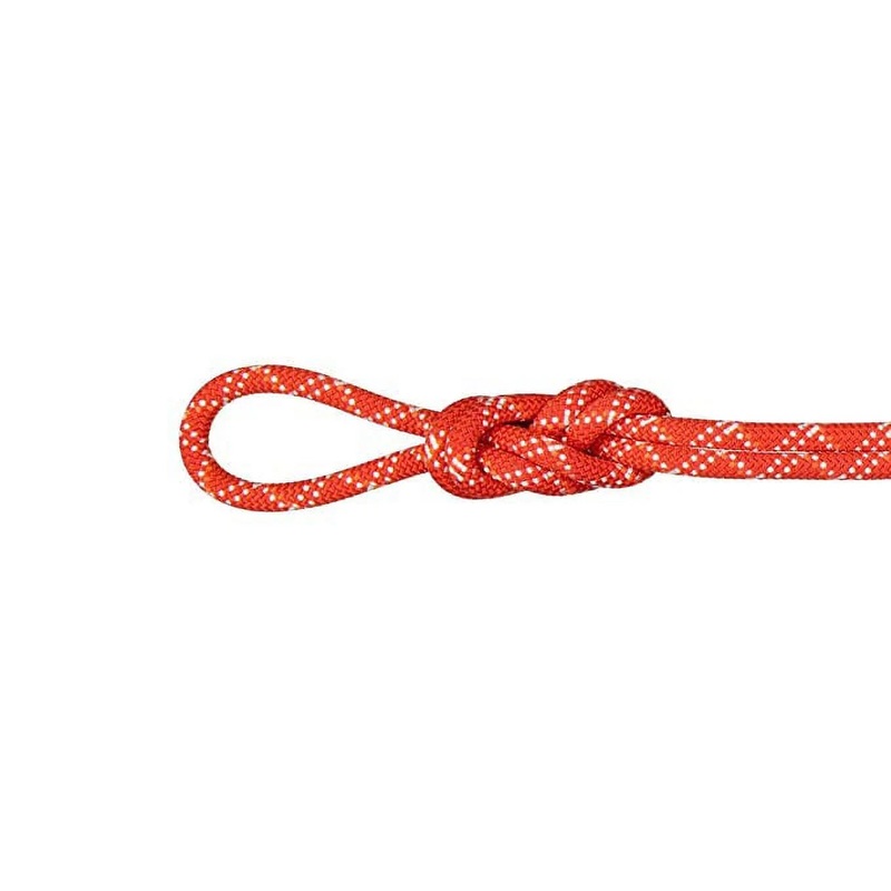 9.5 Gym Classic Rope