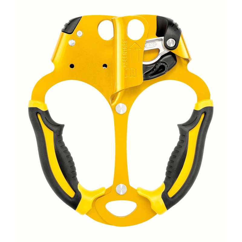 Petzl ASCENTREE