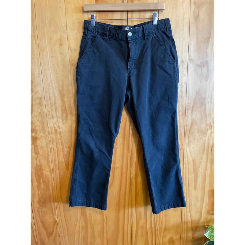 Size 32x30 Carhartt Men's Pants