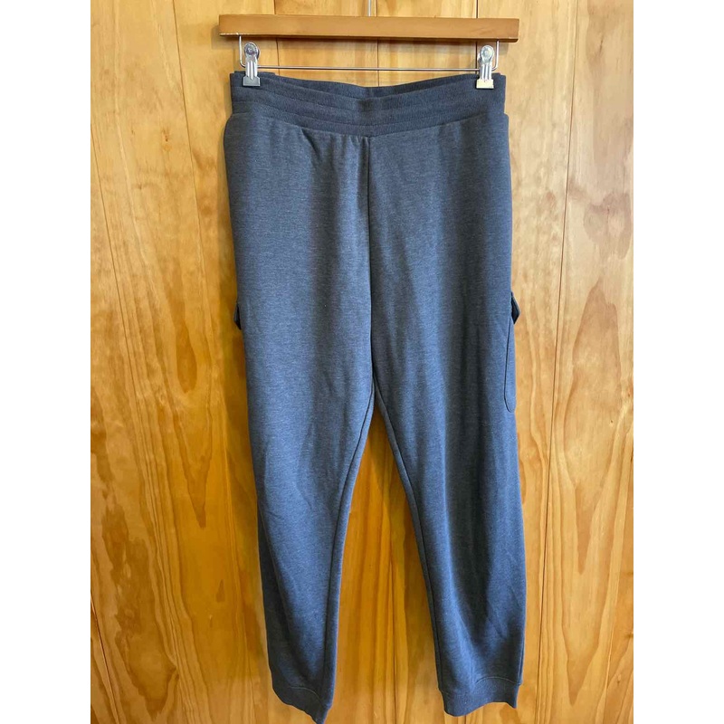 Size L Carhartt Men's Pants