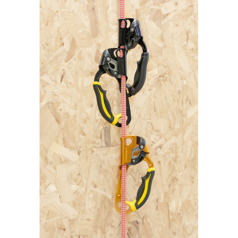 Petzl - Ascension