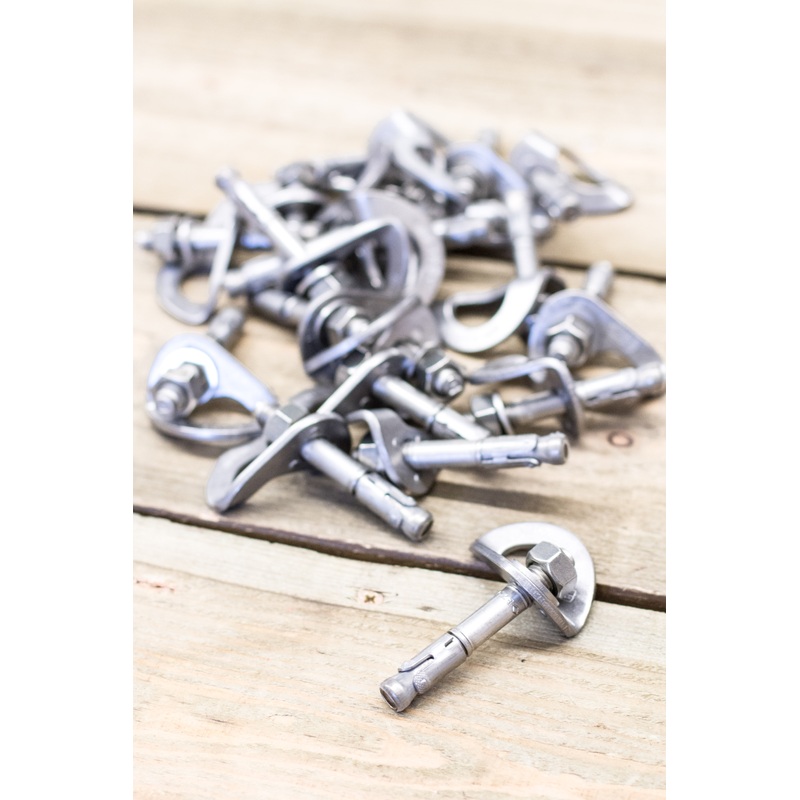 Petzl - Coeur Bolts - 20 Pack