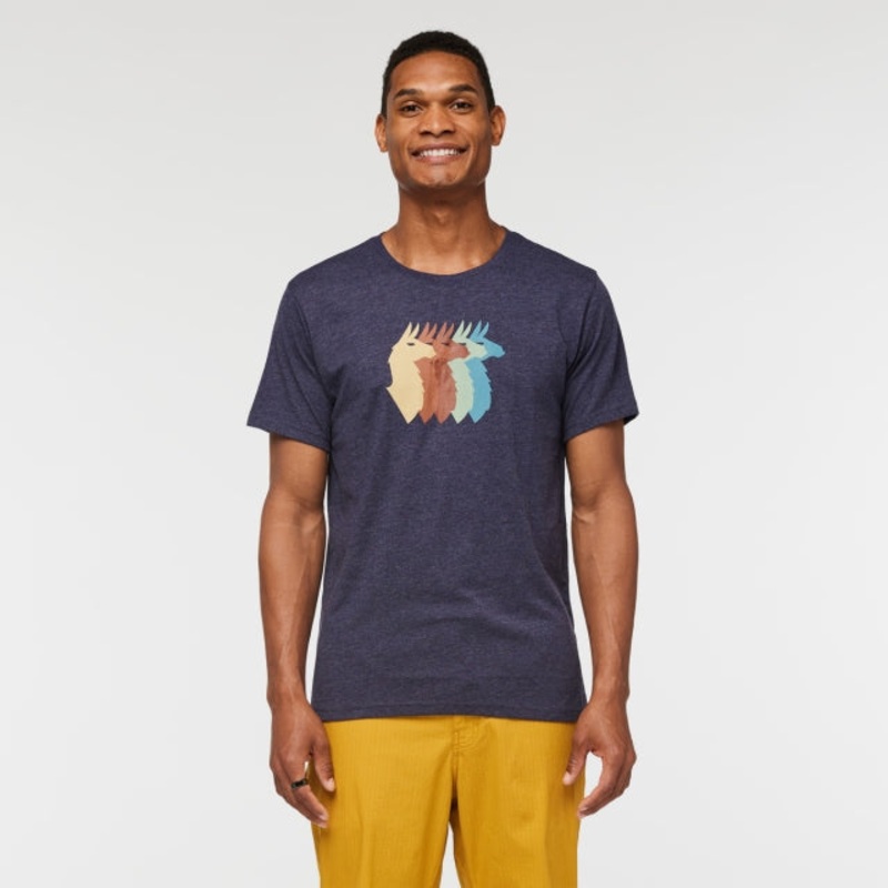Mens Llama Sequence Organic T-shirt