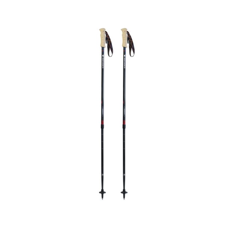 Mountainsmith Andesite Trekking Poles