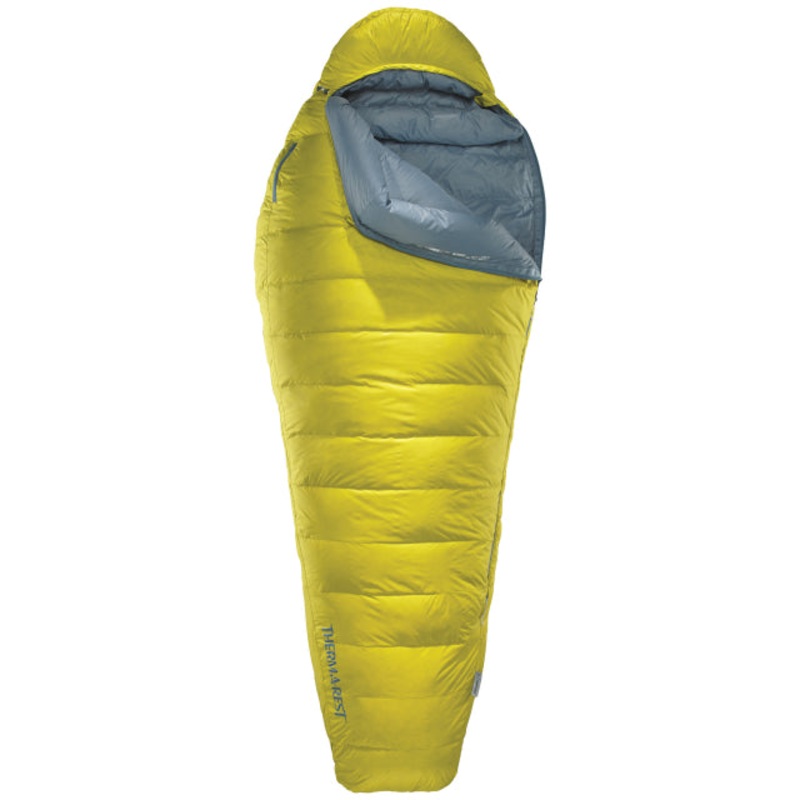 Parsec 20F/-6C, Small - Larch