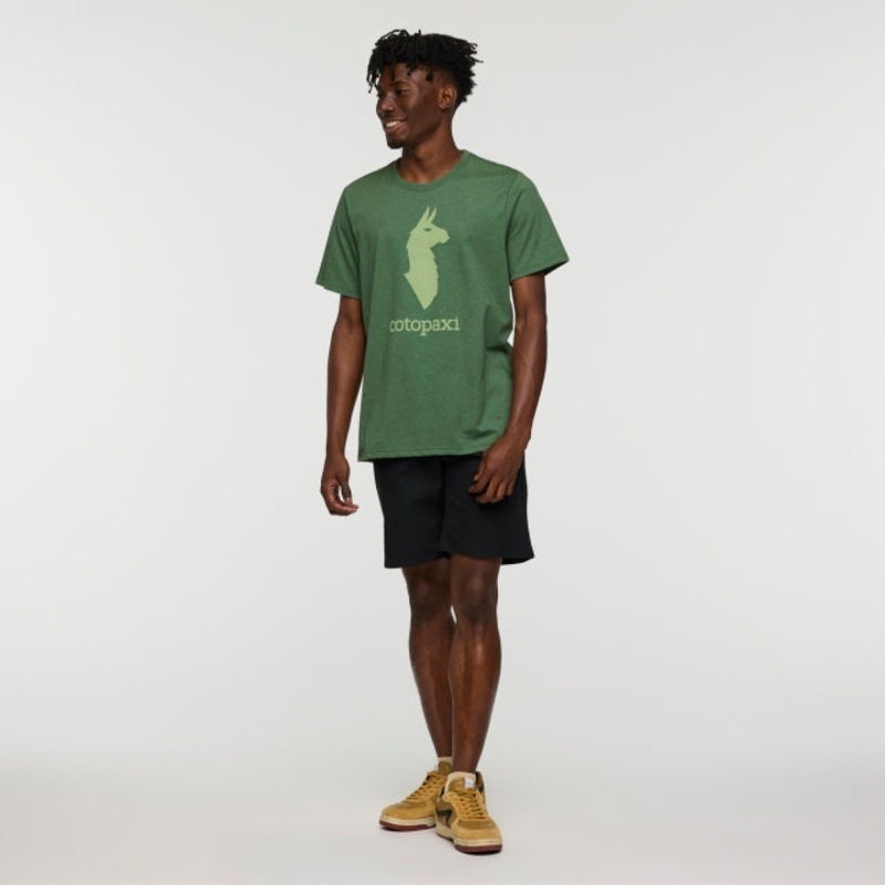 Mens Llama T-shirt