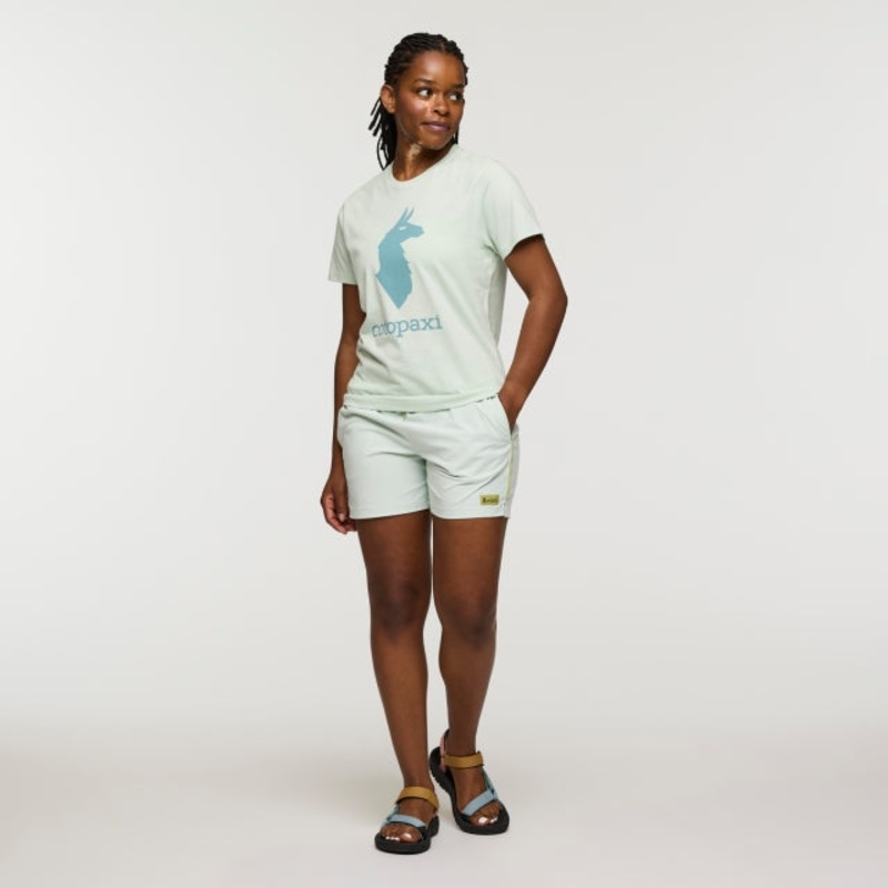 Womens Llama T-shirt -