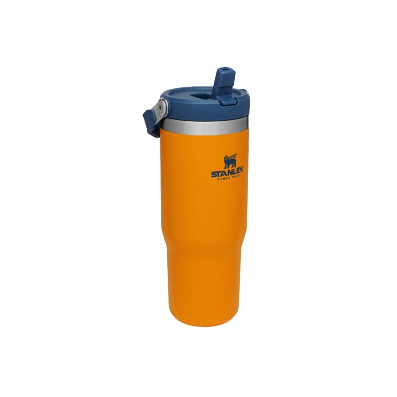 Stanley The IceFlow Flip Straw Tumbler 30 oz