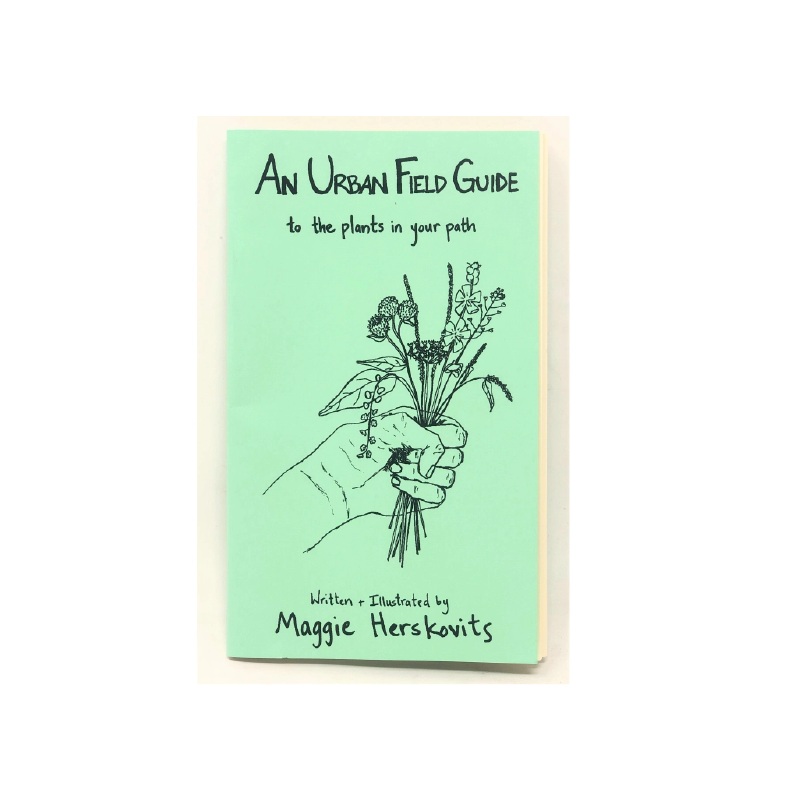 Urban Field Guide to the Plants in Your Path (Zine)
