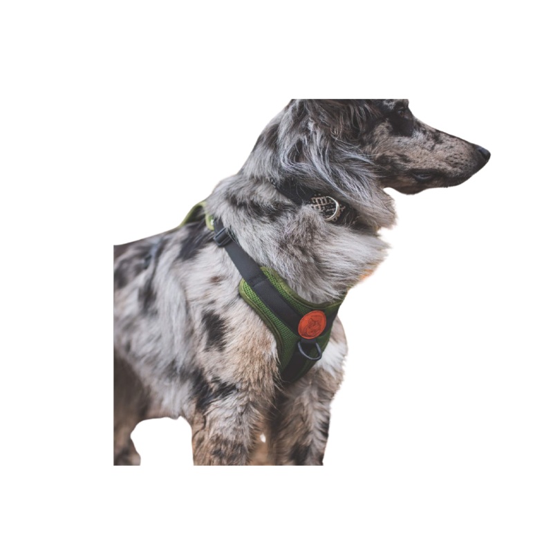 Wilderdog Harness