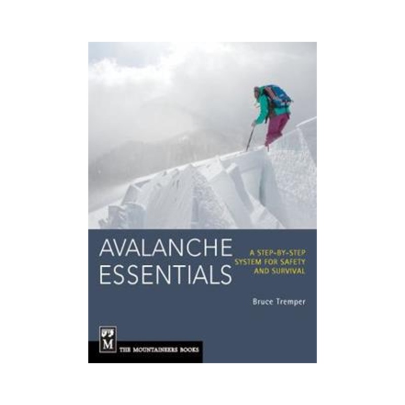 Avalanche Essentials Book