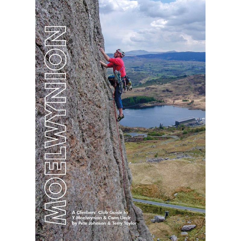 Moelwynion