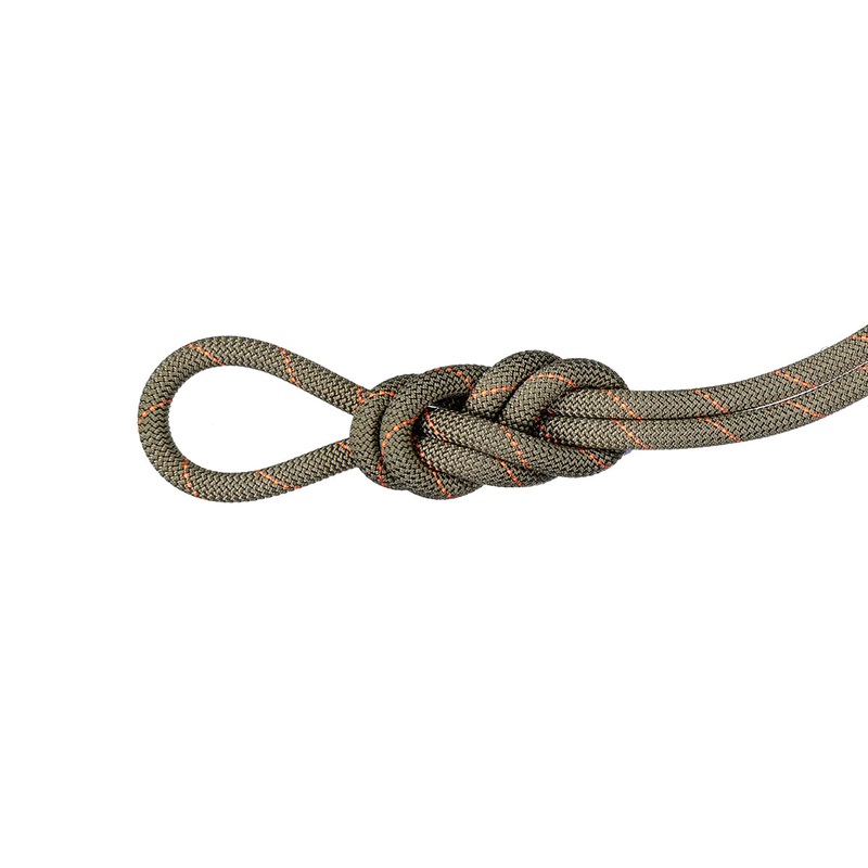 9.9 Gym Workhorse Classic Rope - Boa