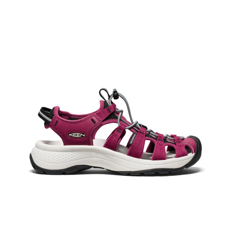 Astoria West Sandal - Beaujolais/Star White