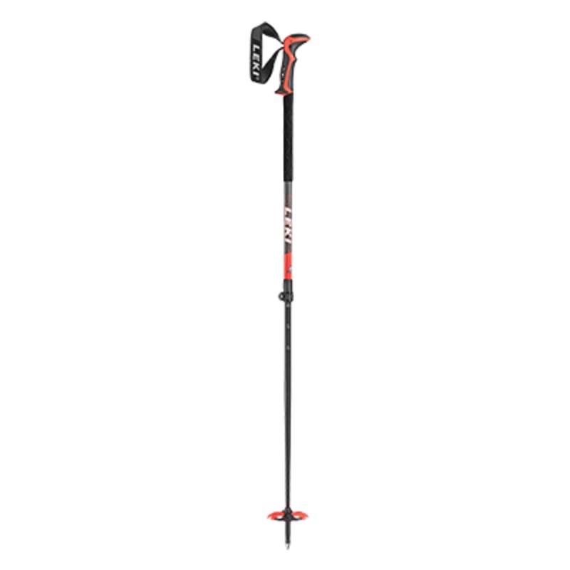 Backcountry Ski Pole Rental
