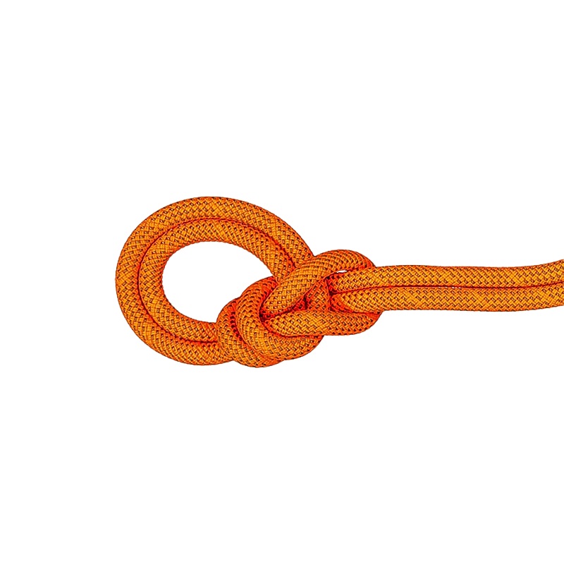 Mammut 9.8 Crag Dry Rope