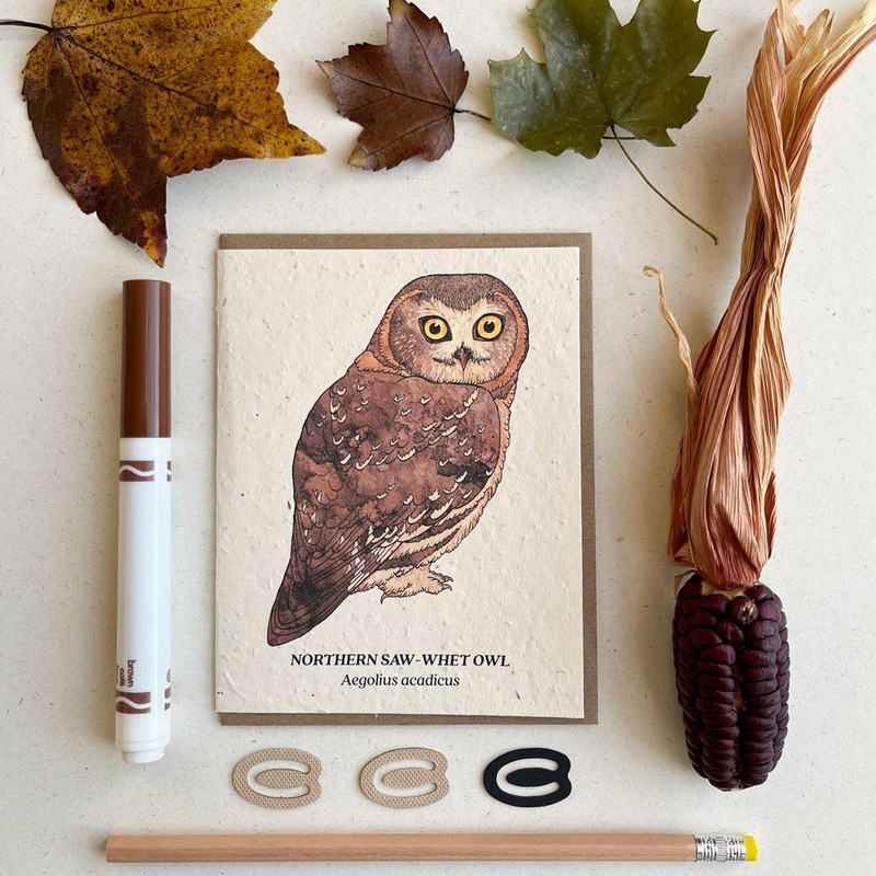 Northern Saw-Whet Owl Plantable Wildflower Seed Card