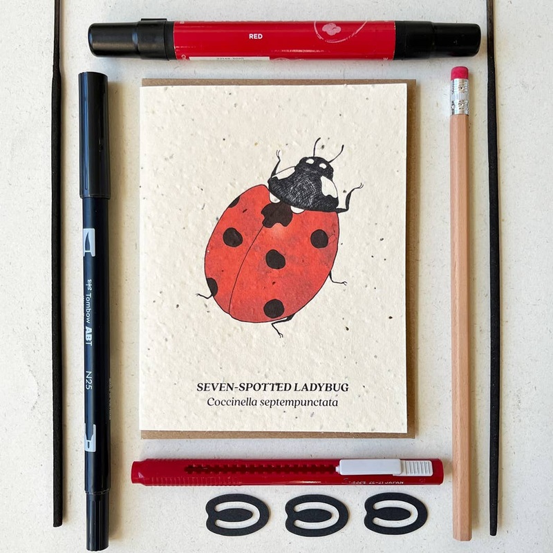 Seven-Spotted Ladybug Plantable Wildflower Seed Card