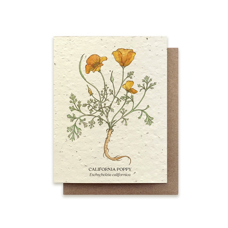Small Victories California Poppy Plantable Wildflower Seed Card