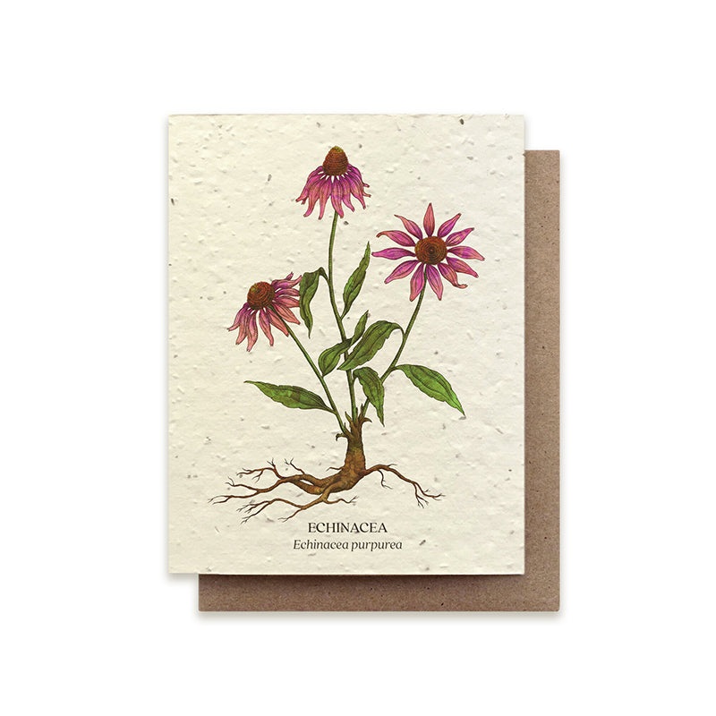 Small Victories Echinacea Plantable Wildflower Seed Card