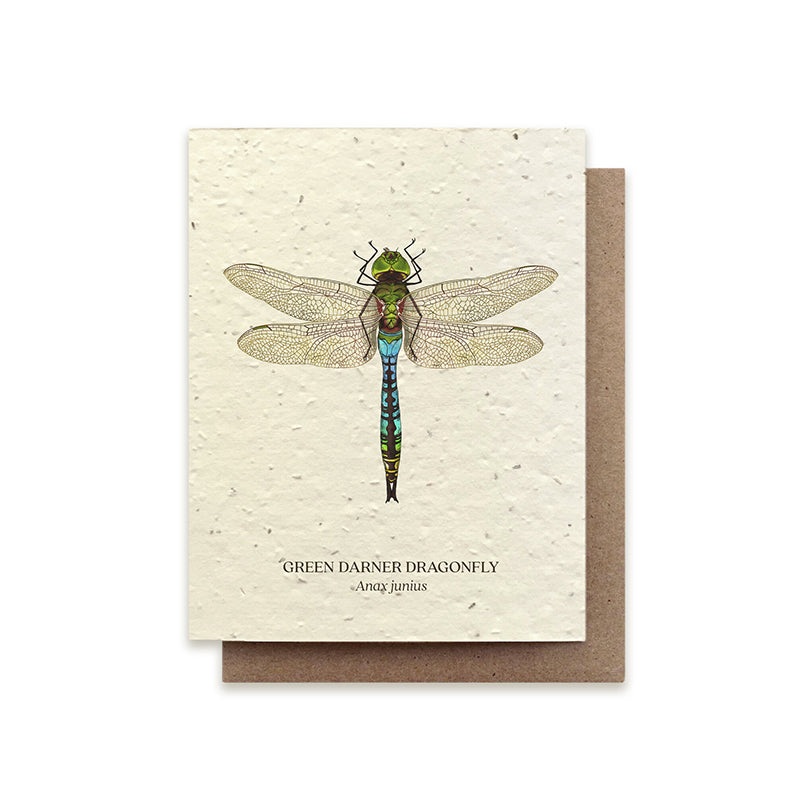 Small Victories Green Darner Dragonfly Plantable Wildflower Seed Card