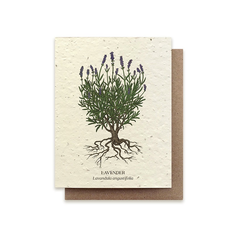 Small Victories Lavender Plantable Wildflower Seed Card