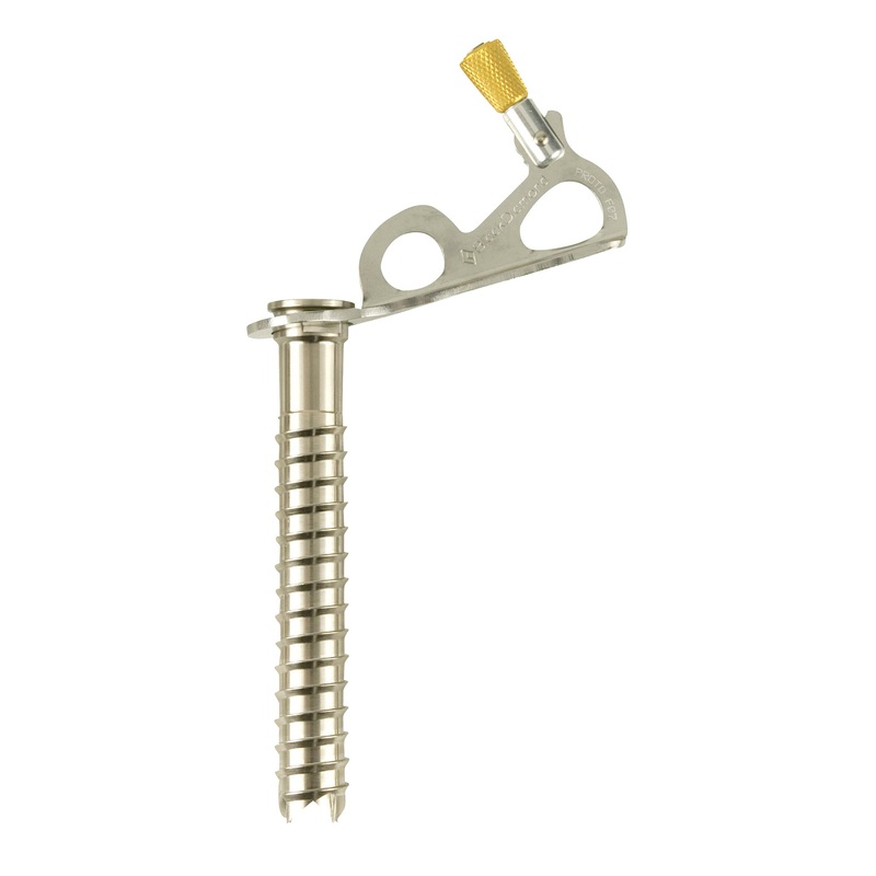 Black Diamond Express Ice Screw