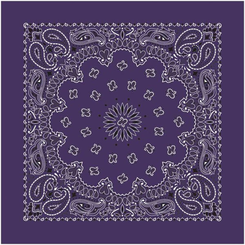Bandana Paisly Plum