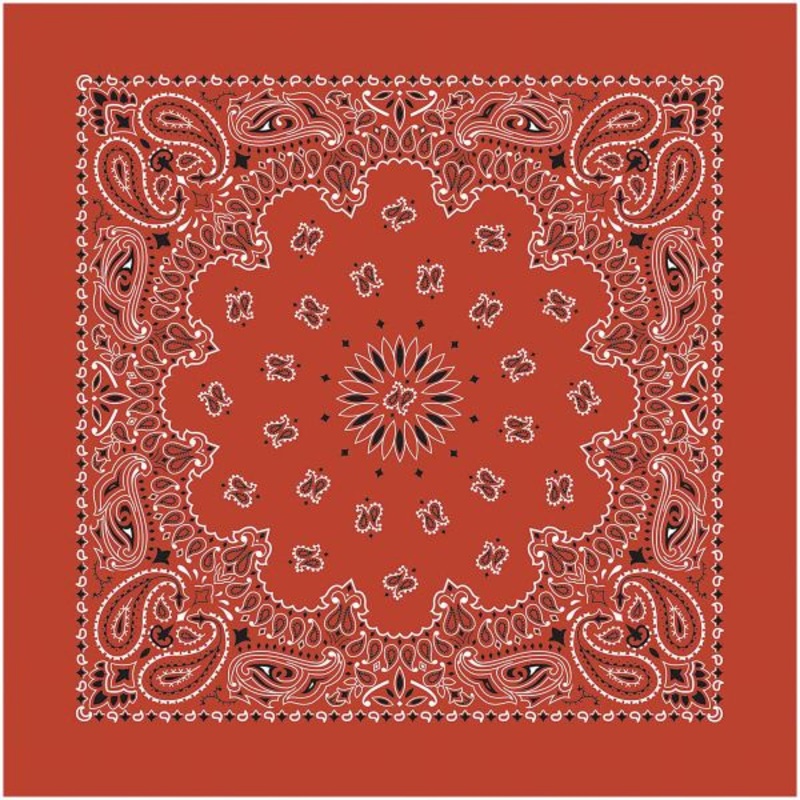 Bandana Paisly Terracotta