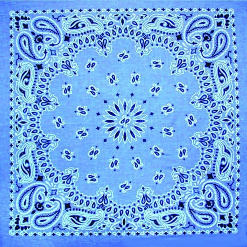 Blue Paisley Bandana