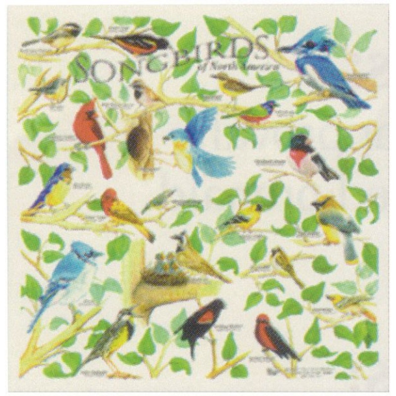 Songbirds Bandana