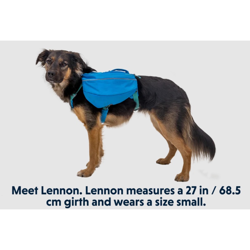 Ruff Wear Approach Pack