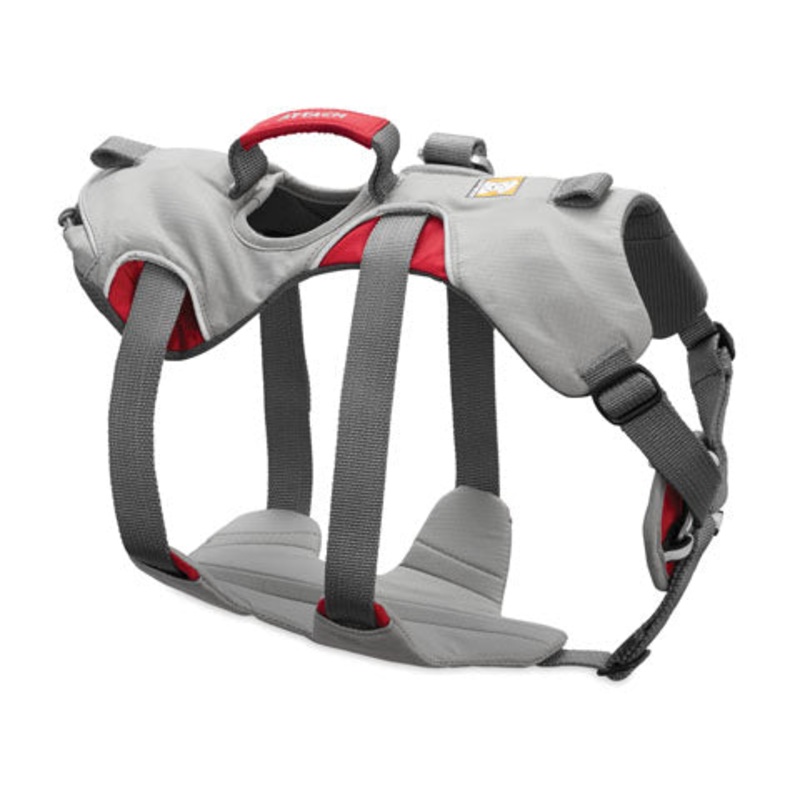 DoubleBack Harness - Cloudburst Gray