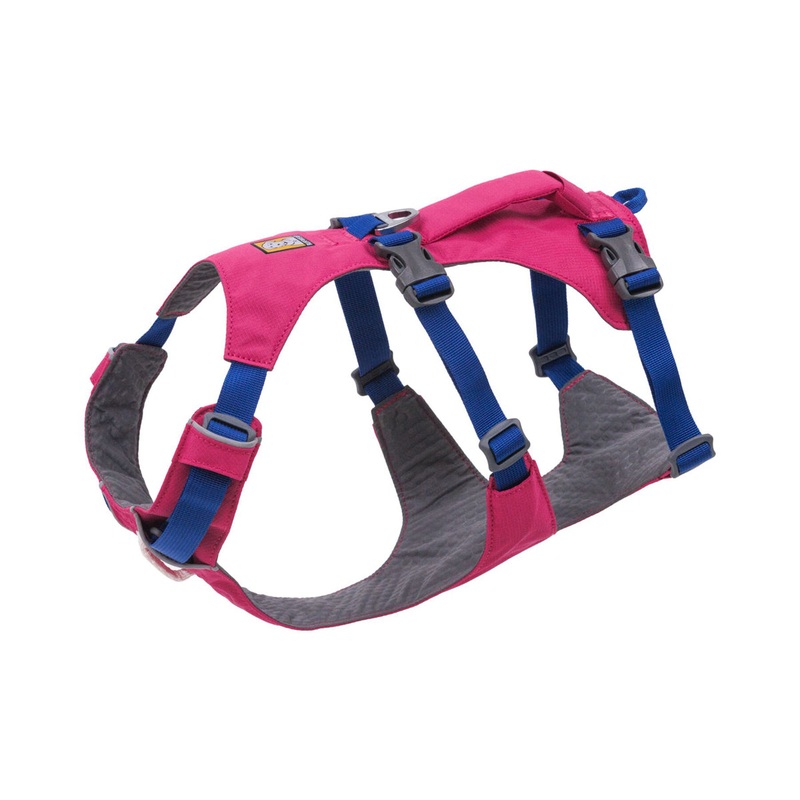 Flagline Harness Alpenglow Pink