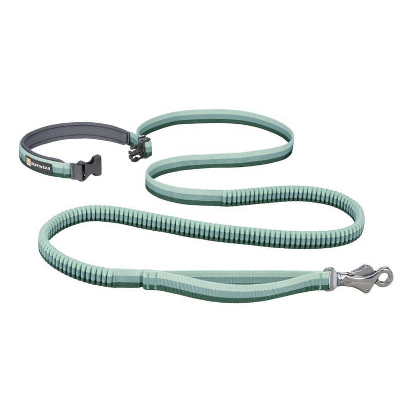 Roamer Leash River Rock Green