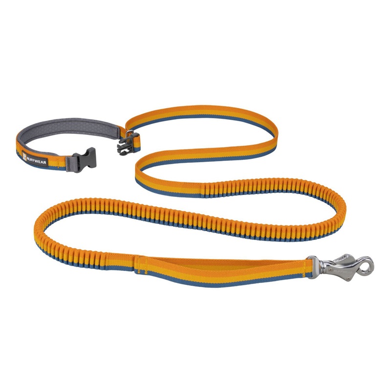 Roamer Leash Yellow Snow
