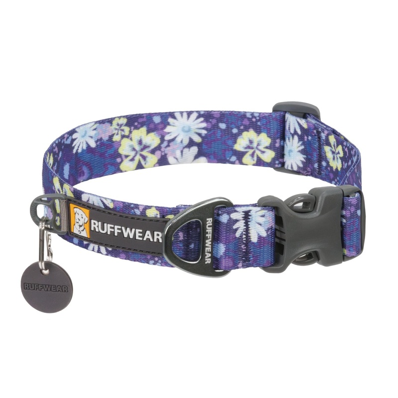 Front Range Collar Wildflower