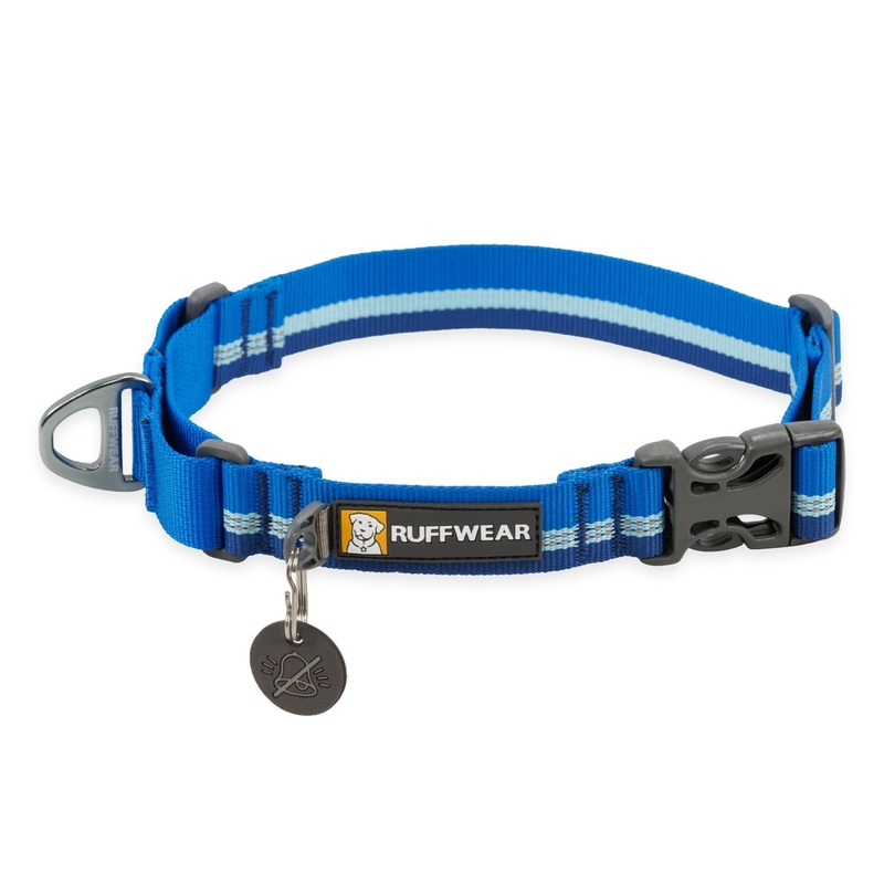 Web Reaction Collar Blue Pool