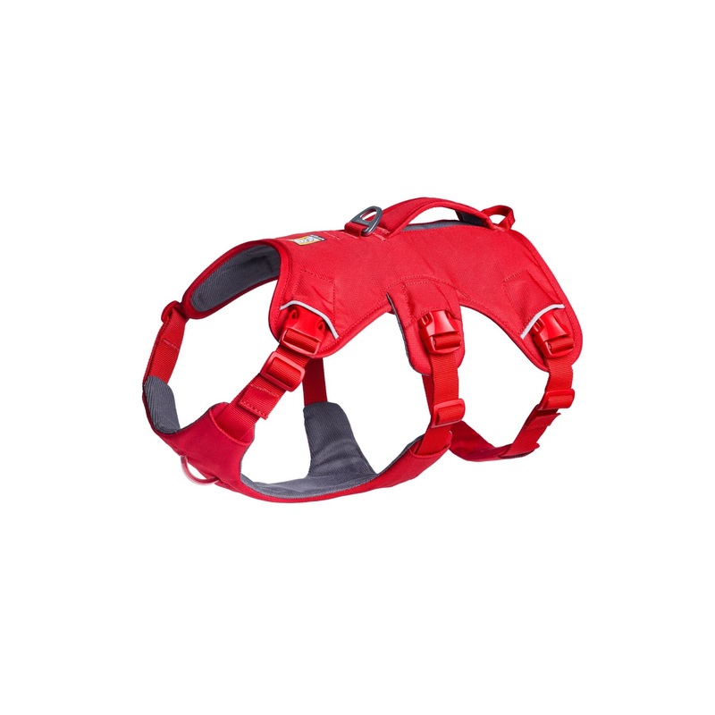 Web Master Harness Red Canyon
