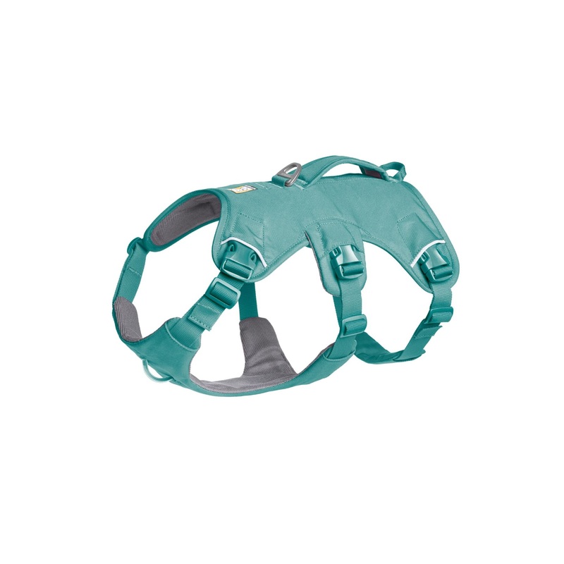 Web Master Harness River Rock Green