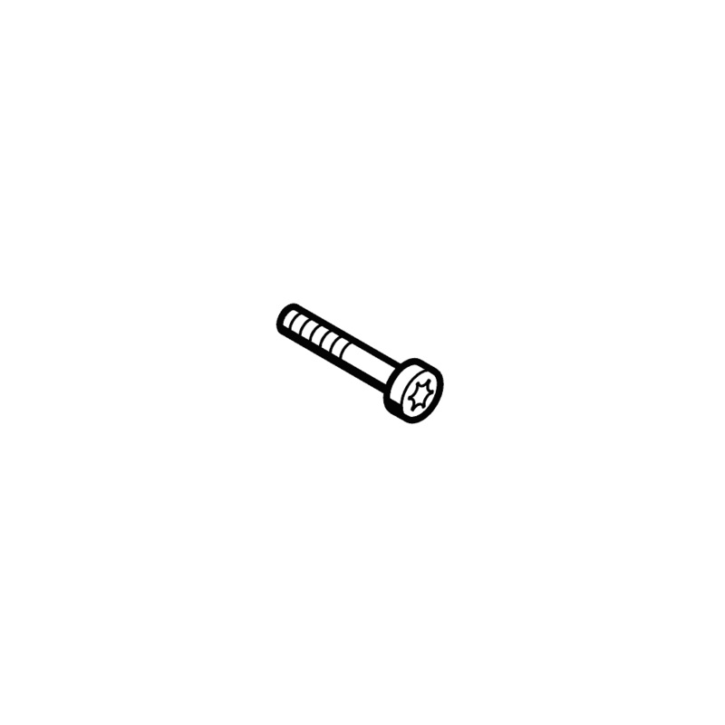 Spline Screw M5 x 30 for Stihl TS410 TS420