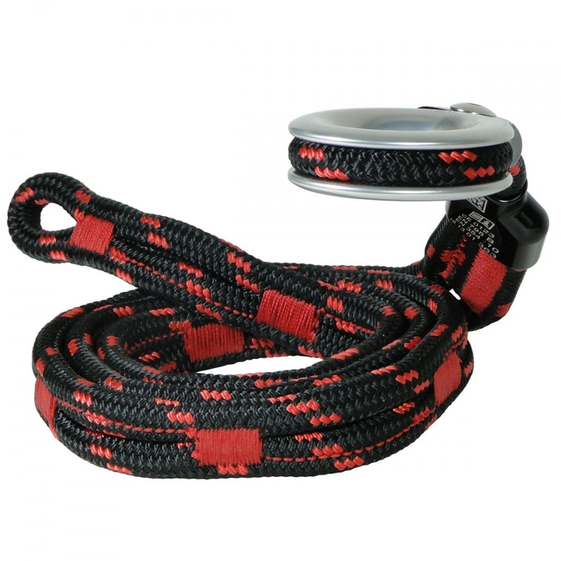 Snaketail