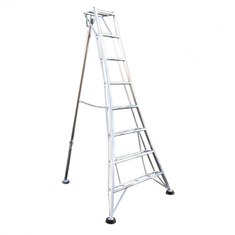 Standard Tripod Ladder